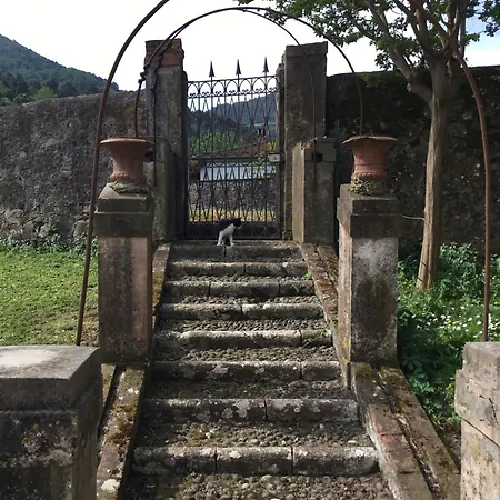 Tambellini De Fondra Apartment