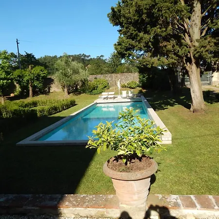 Tambellini De Fondra Apartment Lucca