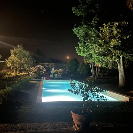 Tambellini De Fondra * Lukka