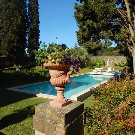 Tambellini De Fondra 卢卡